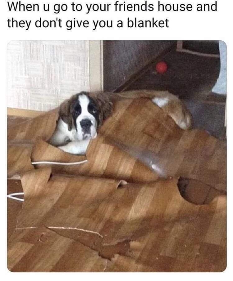 blanket