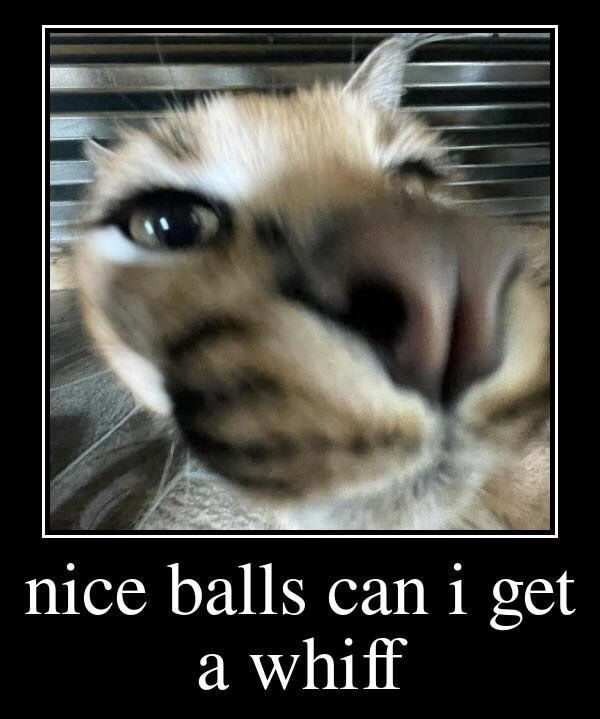 Just a sniff