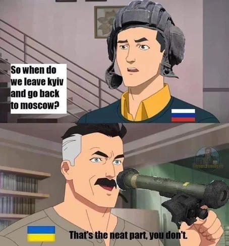 Polish Cow