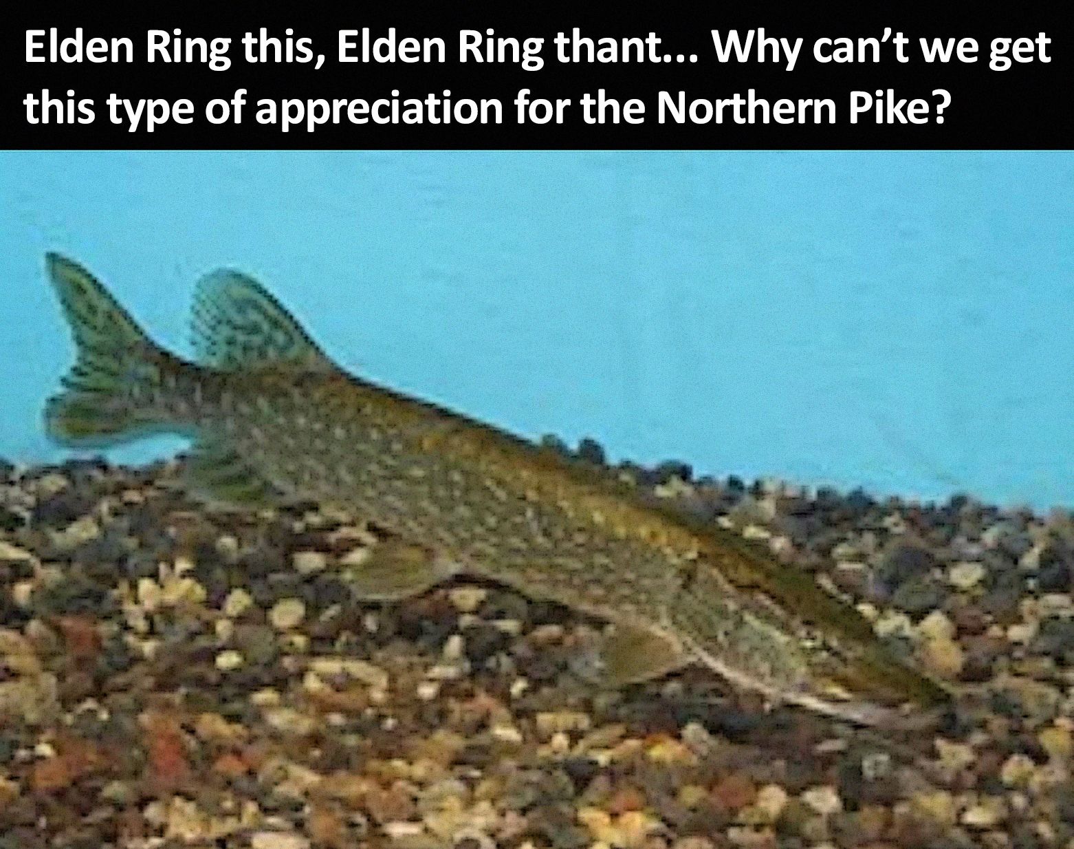 pike