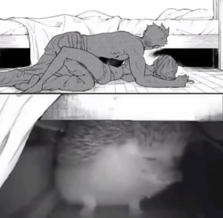 hog