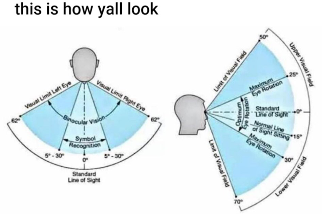 You gotta see this