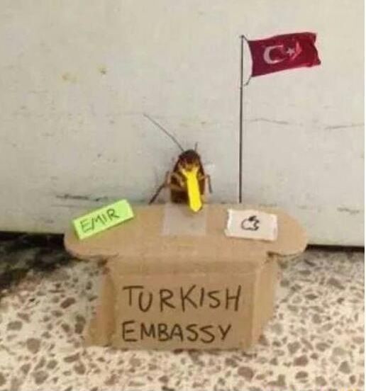 Turks
