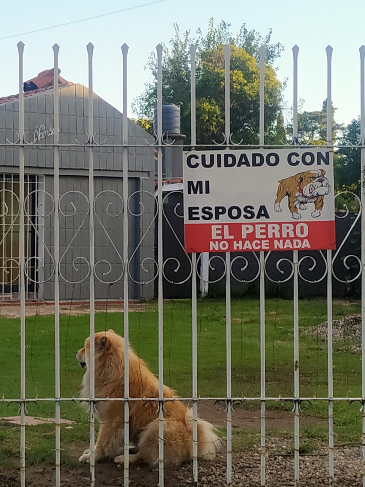 Seen in Argentina, the sign translates to: Beware of my wife. The dog doesn't bite.