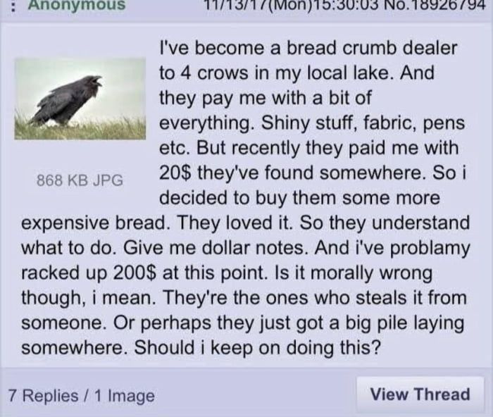 the crow master