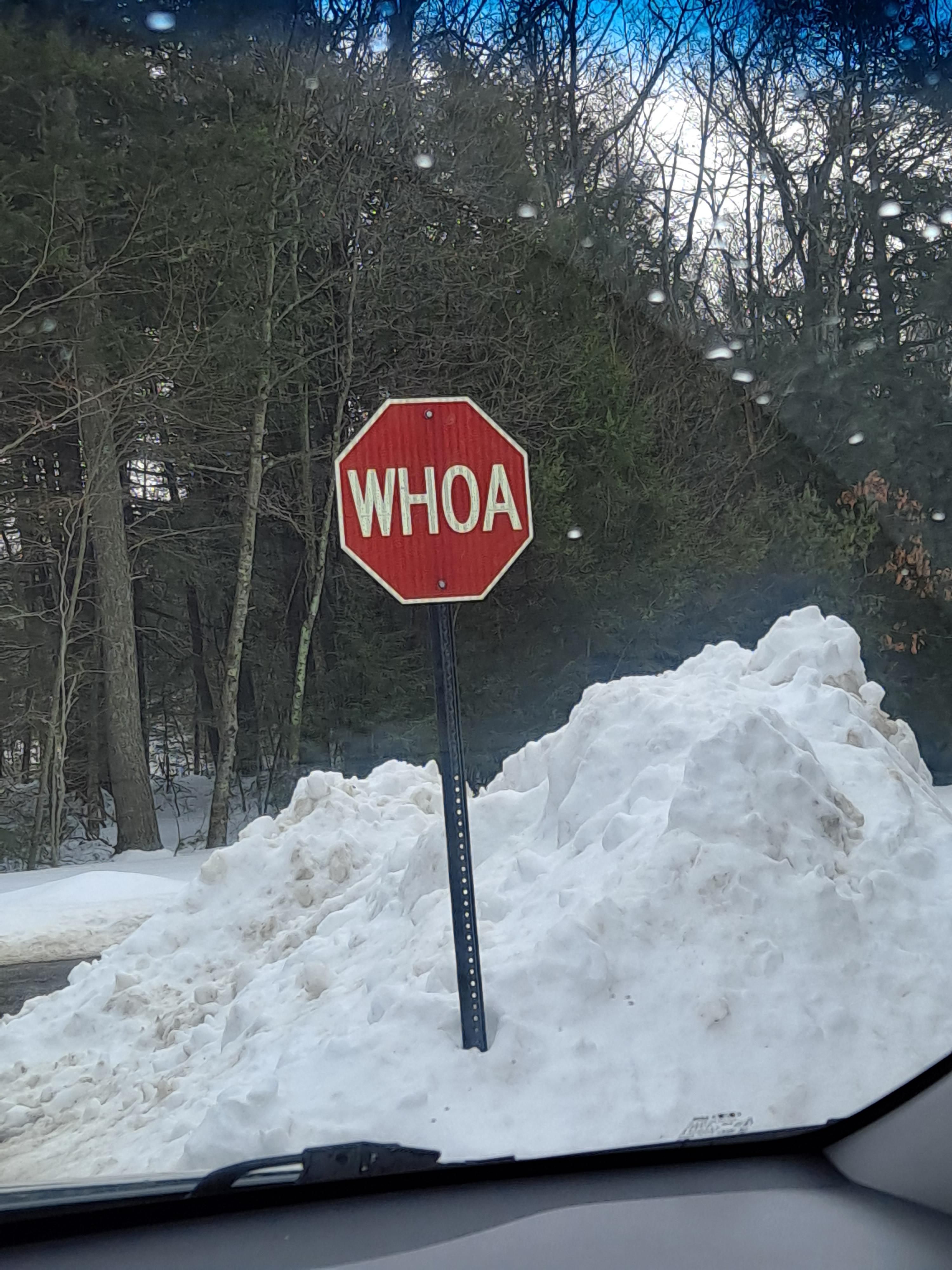 Best stop sign ever!