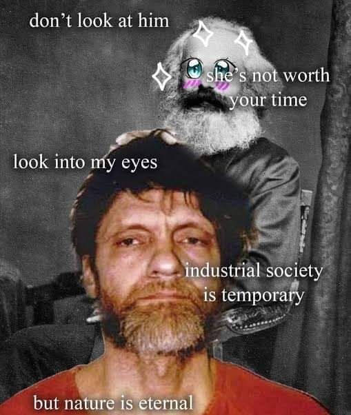 ted