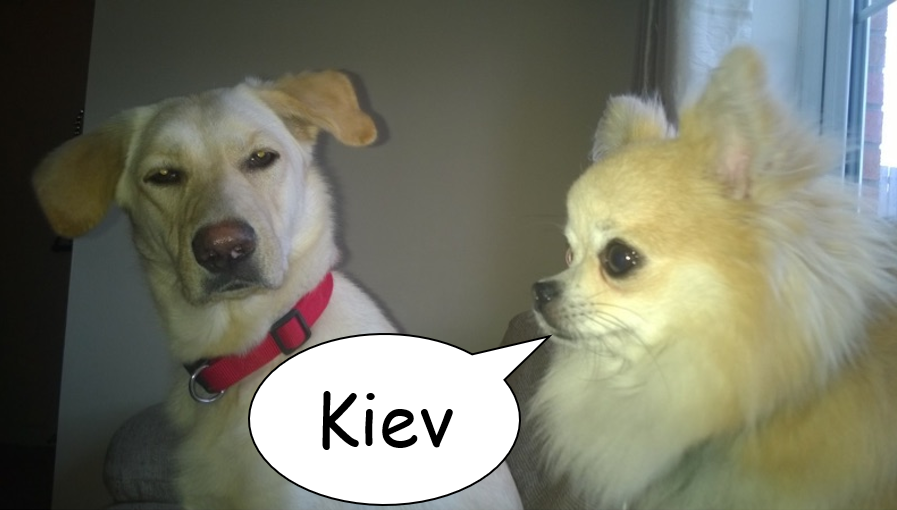 Kyiv posting