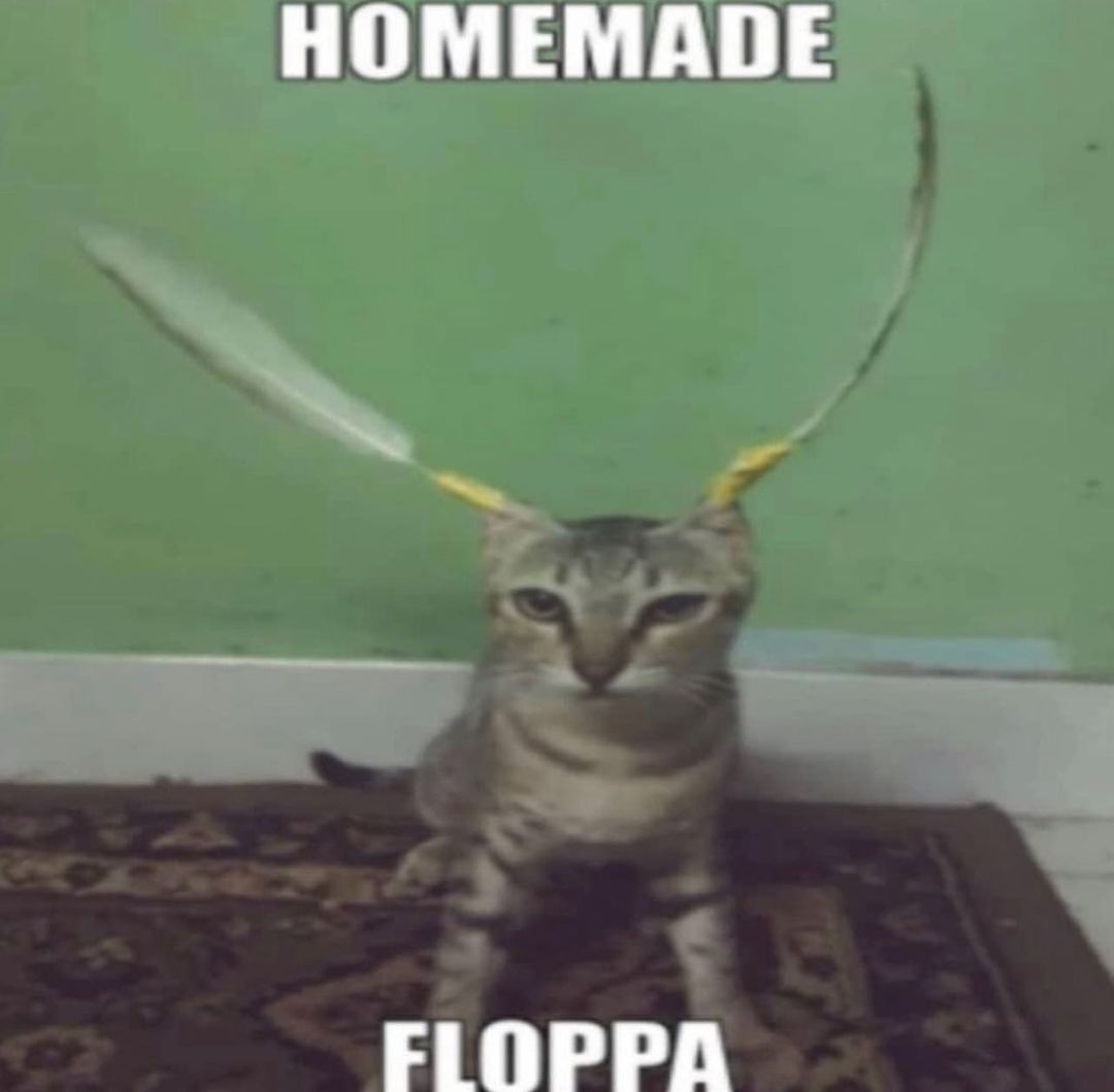 ingredients: 1 dose of cat, 2 dose of feather, duckt tape