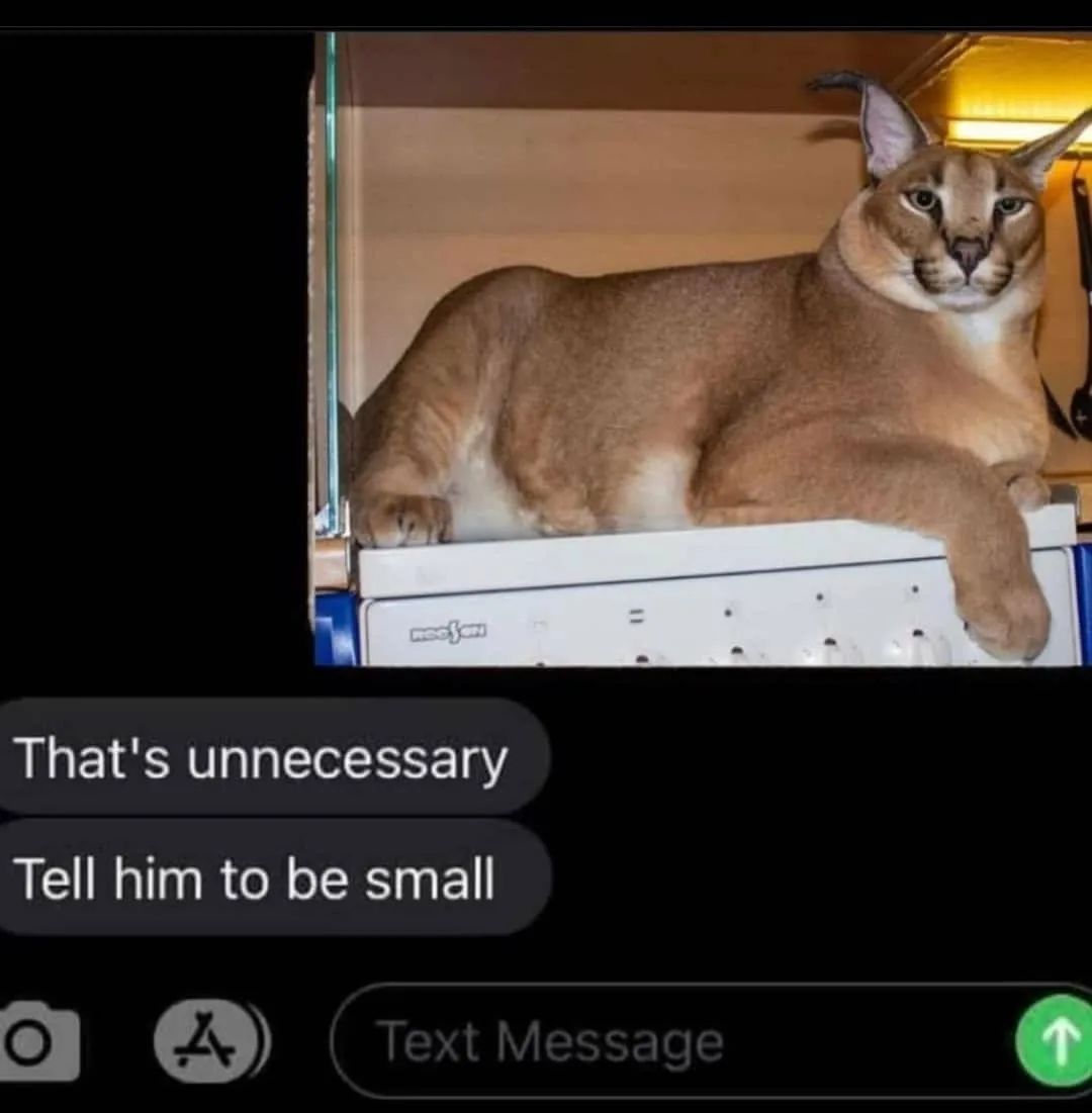 can't