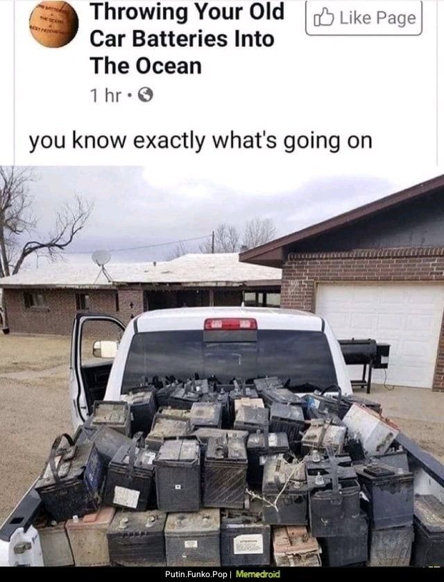 looks like a grand ol' time