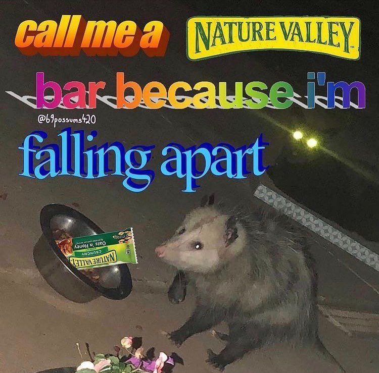 pocket granola