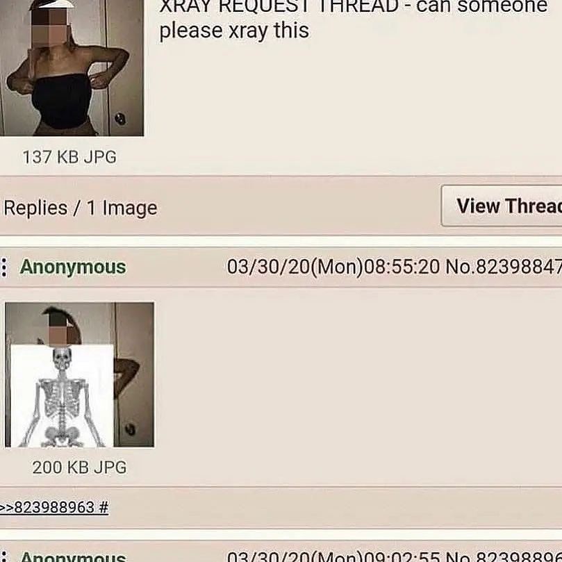 professional