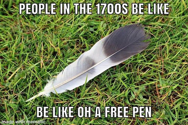 birb