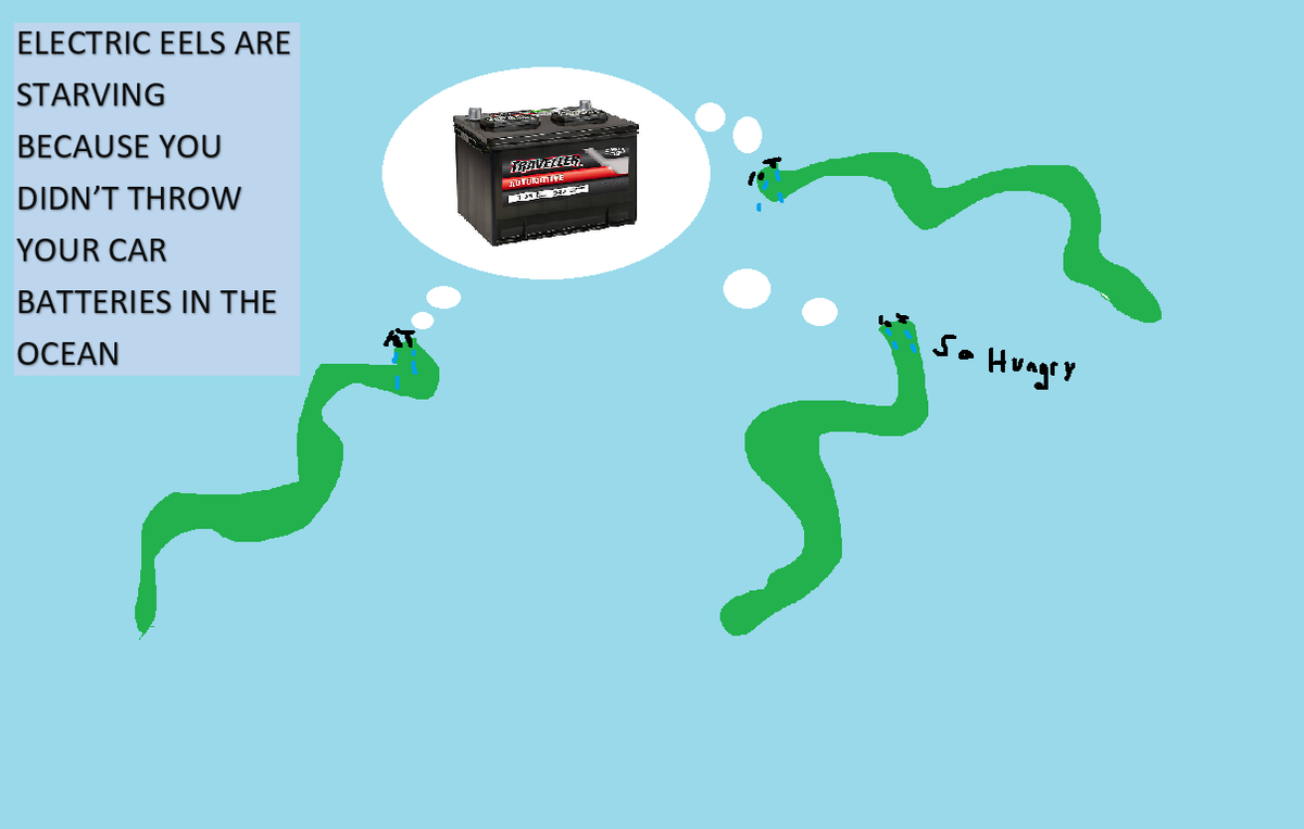 save the eels