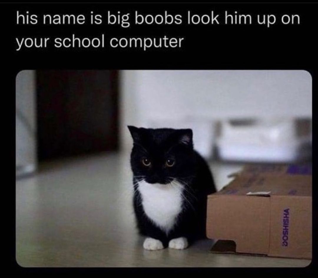 it's a lie frens, look up pussy instead