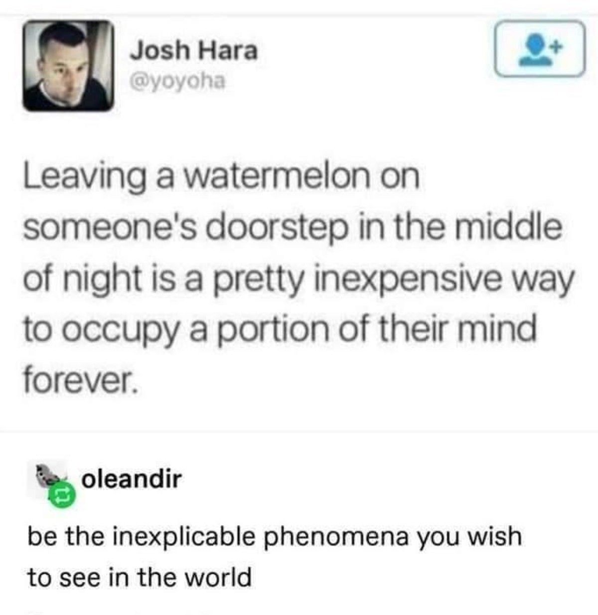 neggros would love it