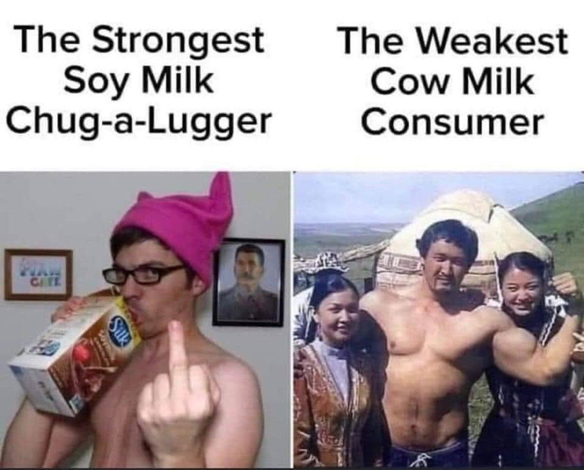 milk
