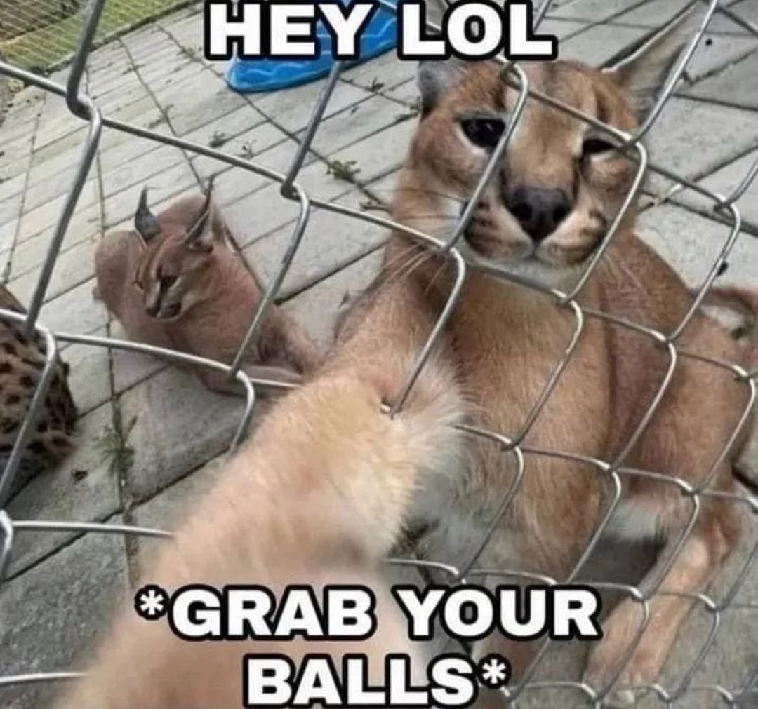 they are mine now