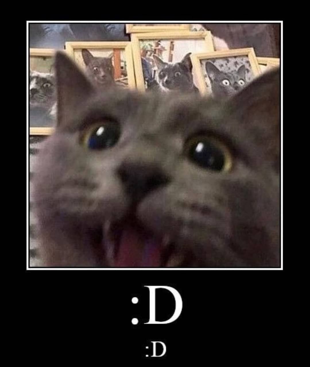 cab :DDD