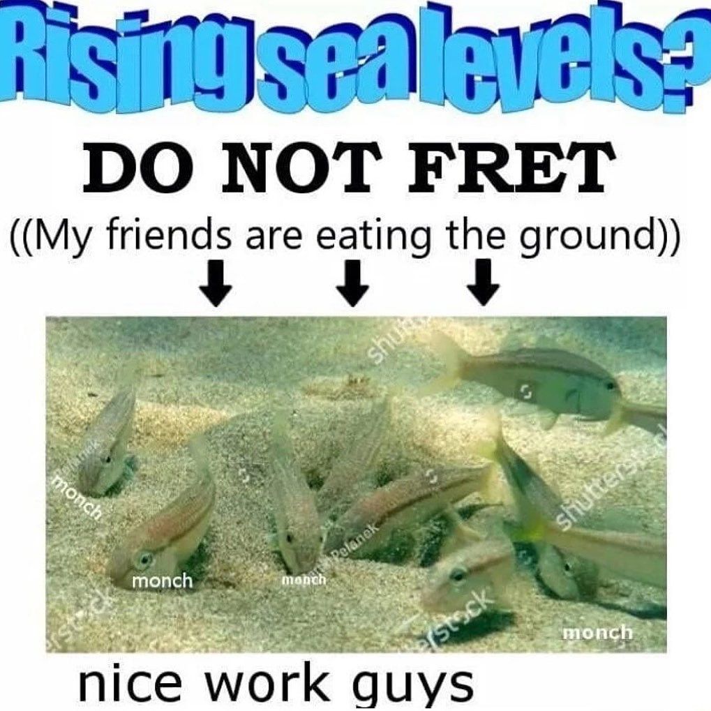 Got you guys