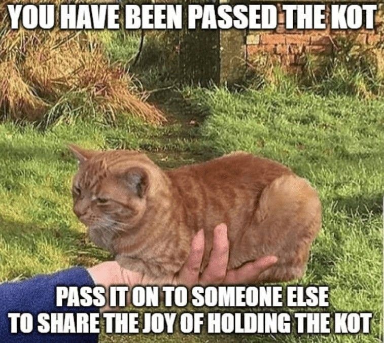 Many kots have been shared by this