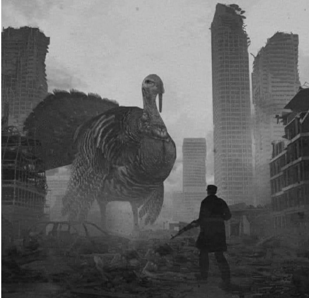A lone Soviet soldier faces the last of the Chernobyl Turkeys. Early April 1987.
