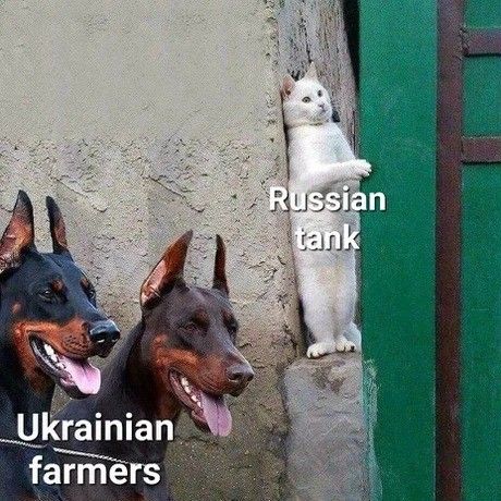 terror