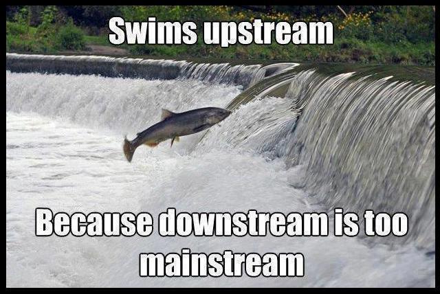 Hipster salmon....