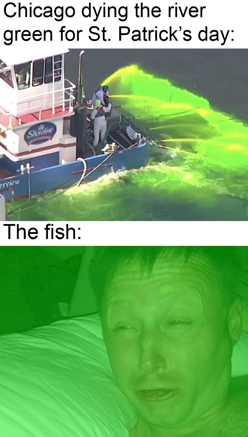 *** them fish