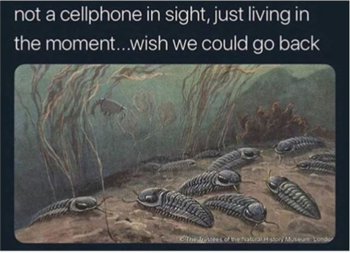 Revolt against the modern world