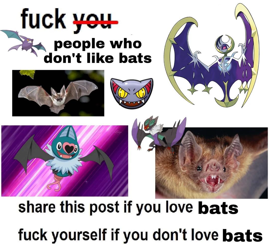 I'll be honest, I love bats