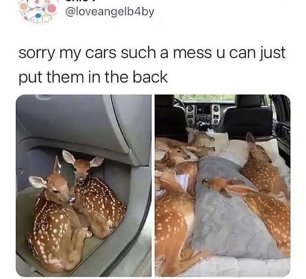 I don't think I will