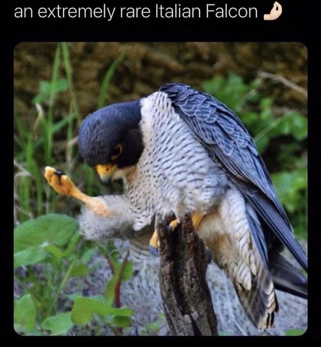 ***
