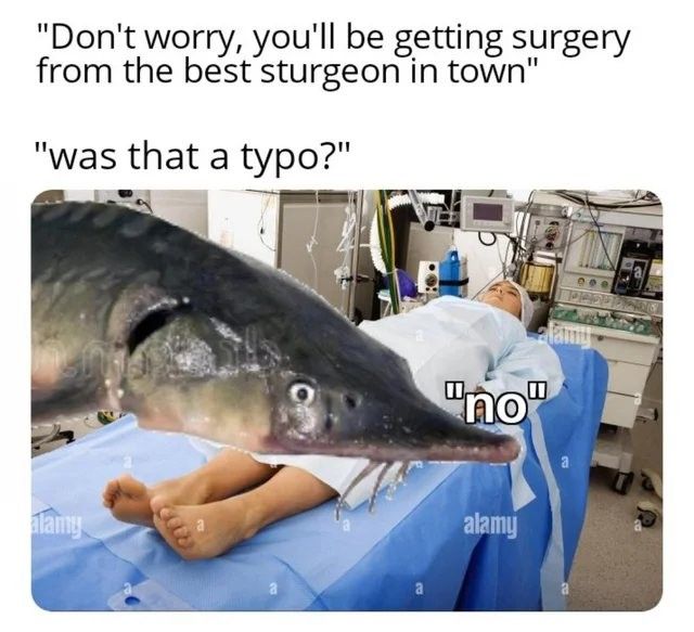 Seems fishy