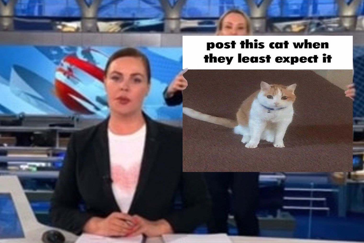 kot