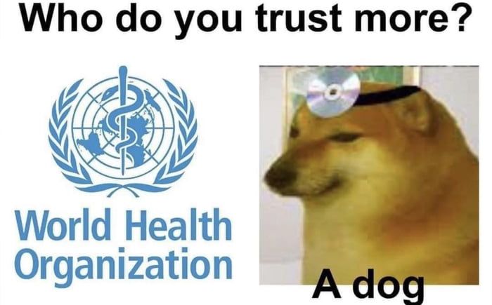 what da dog doing?
