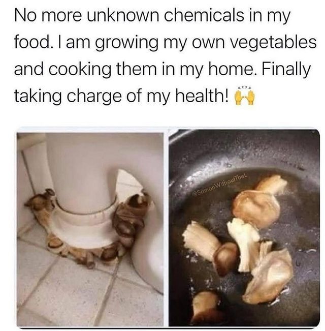 Next step after huffing your own farts