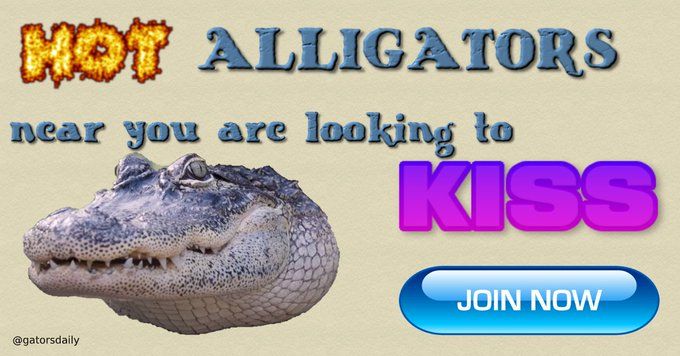 give kissy
