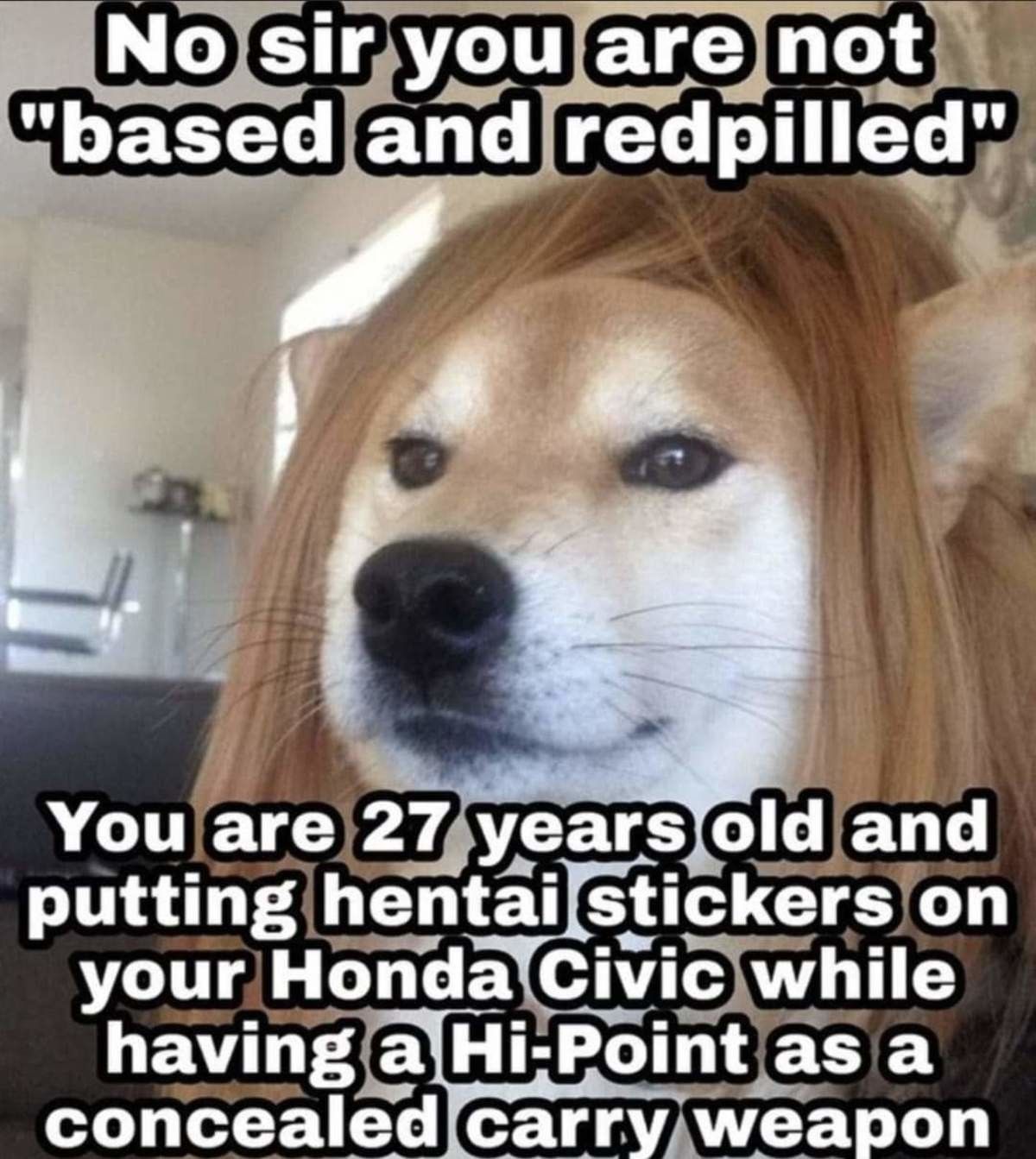 and posting hentai in your discord server