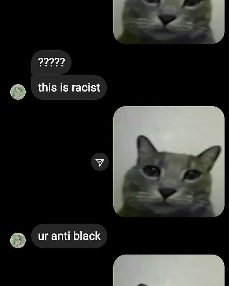 Poor kitty. Already getting canceled （；へ：）