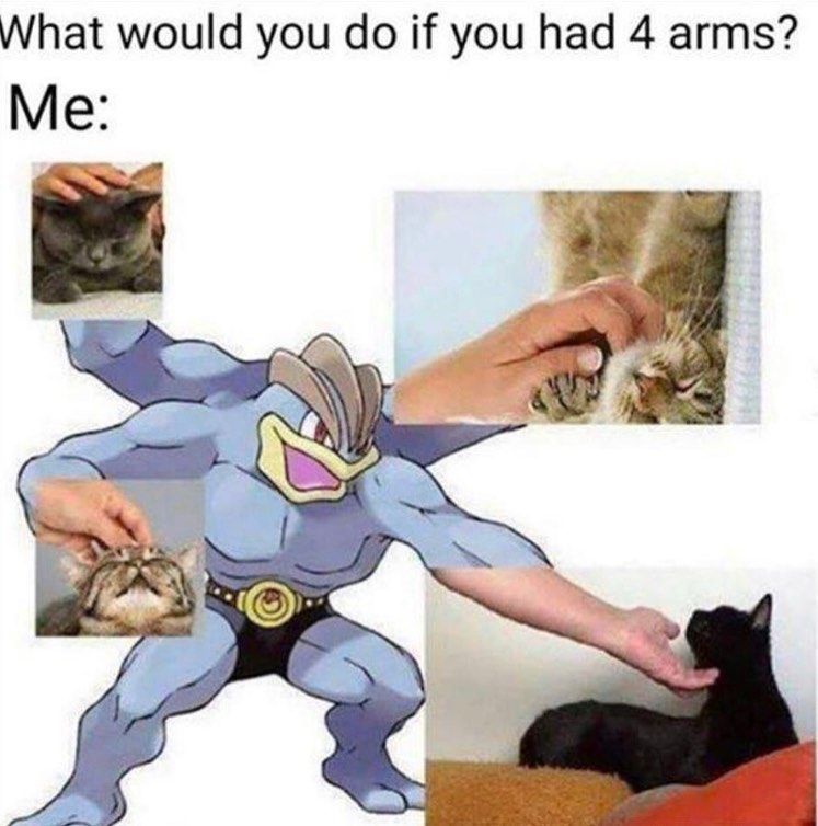 Only answer