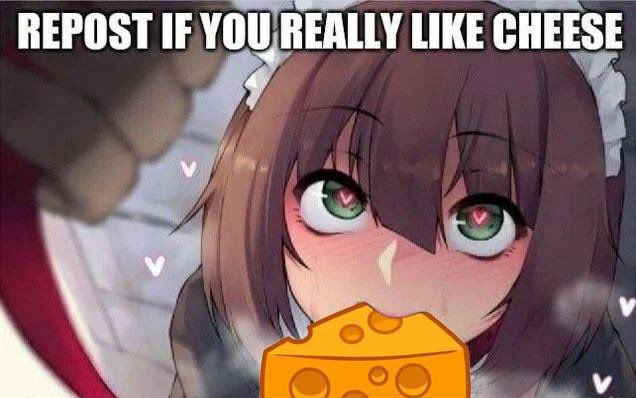 cheese>milk