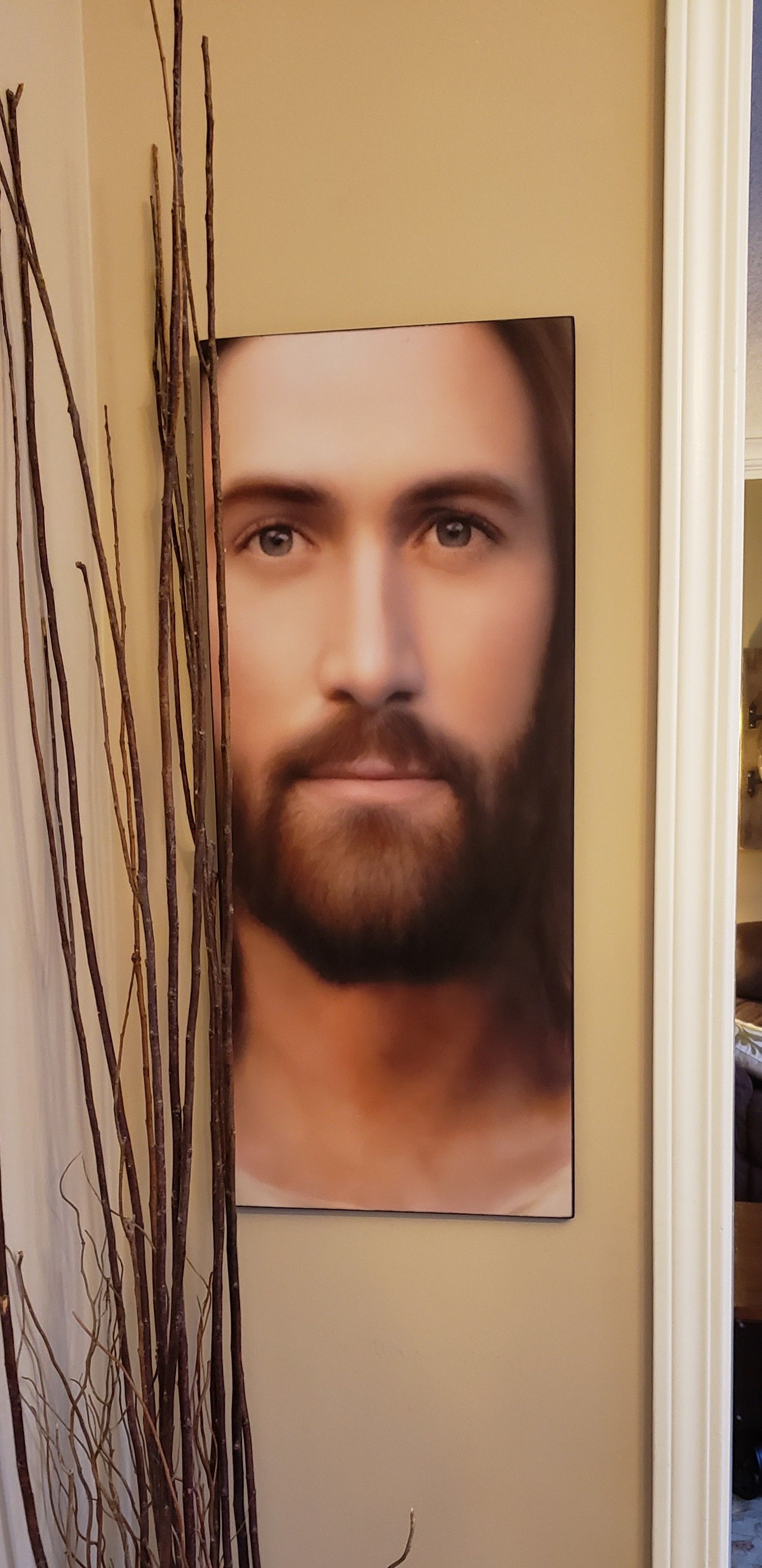 Went to a friend's house and his mom is a staunch Christian. She has a picture of Jesus up in her living room, but I thought it looked like a certain celebrity...