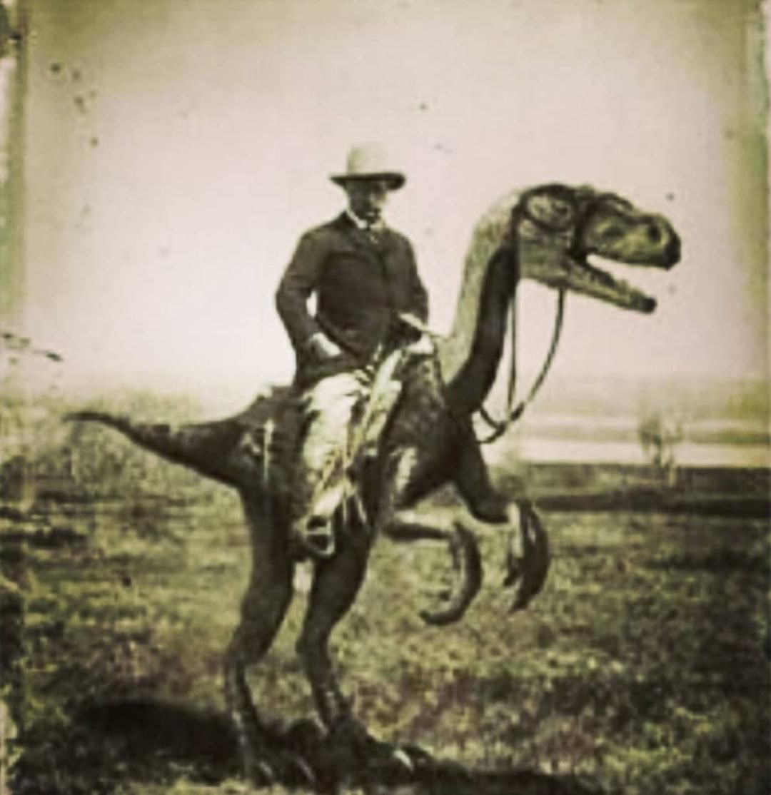 Teddy Roosevelt rides his War Raptor, Emma in Cuba. 1898.