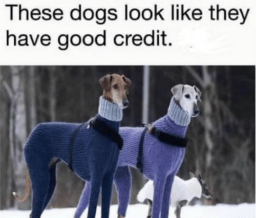 This meme has been in my hard drive for a while. Need to dump it now.