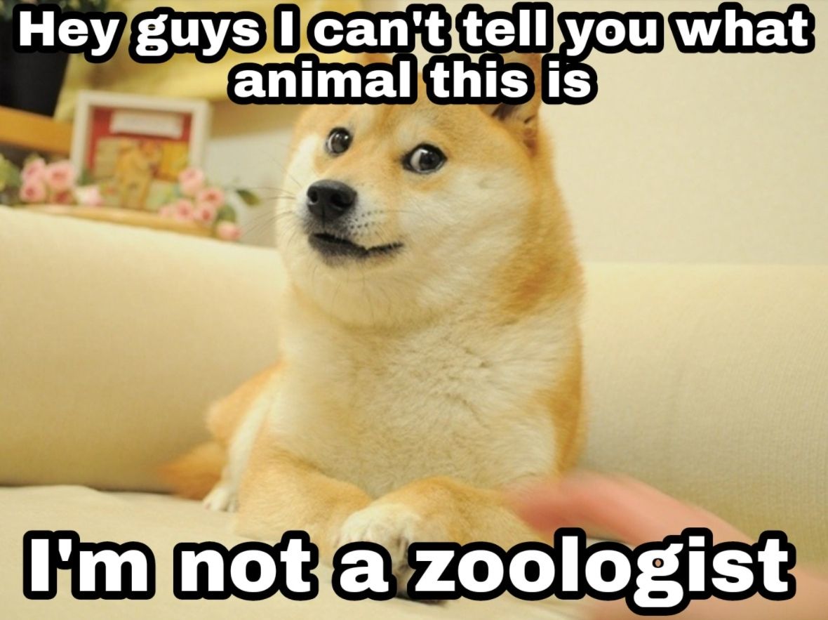 :-)