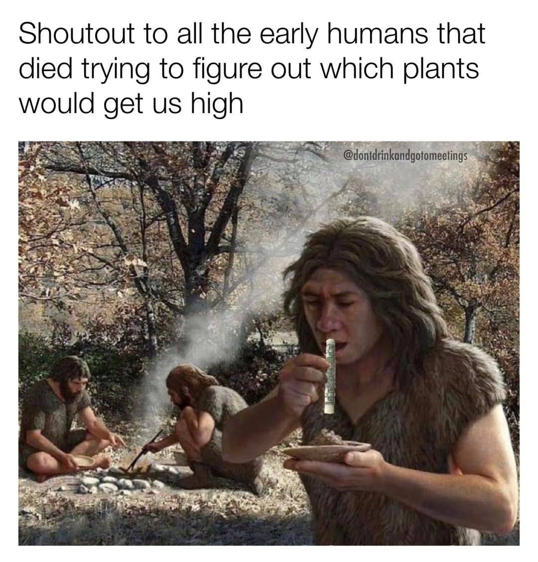 realiest brehs outthere