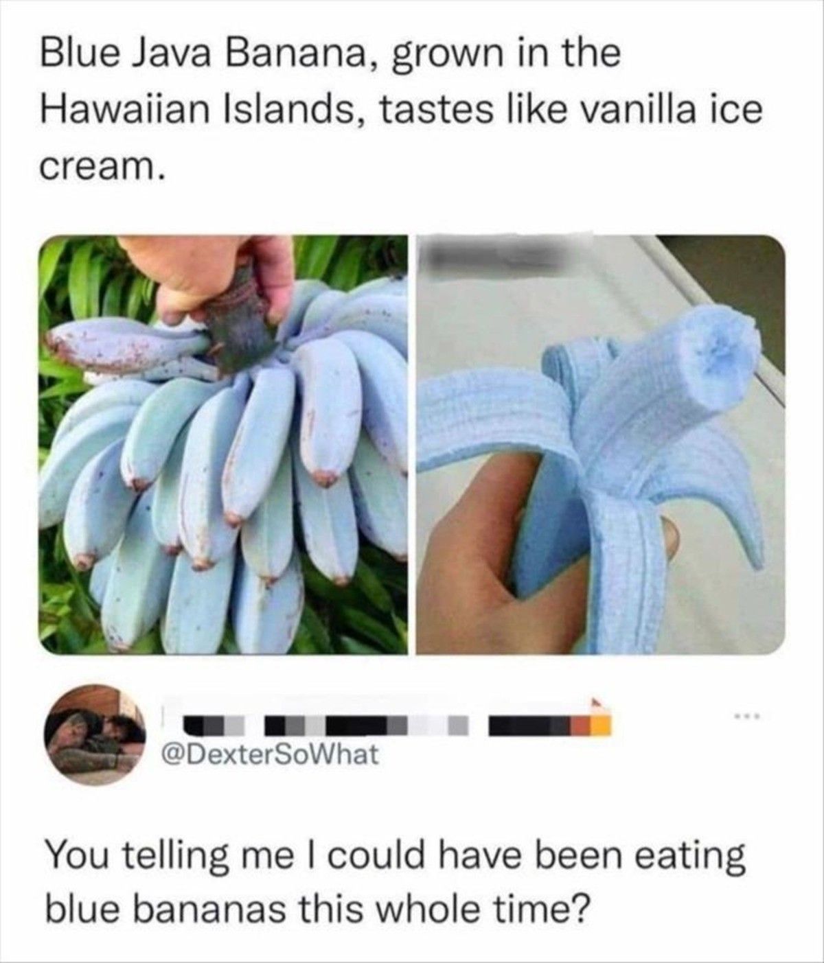 just paint them duhh