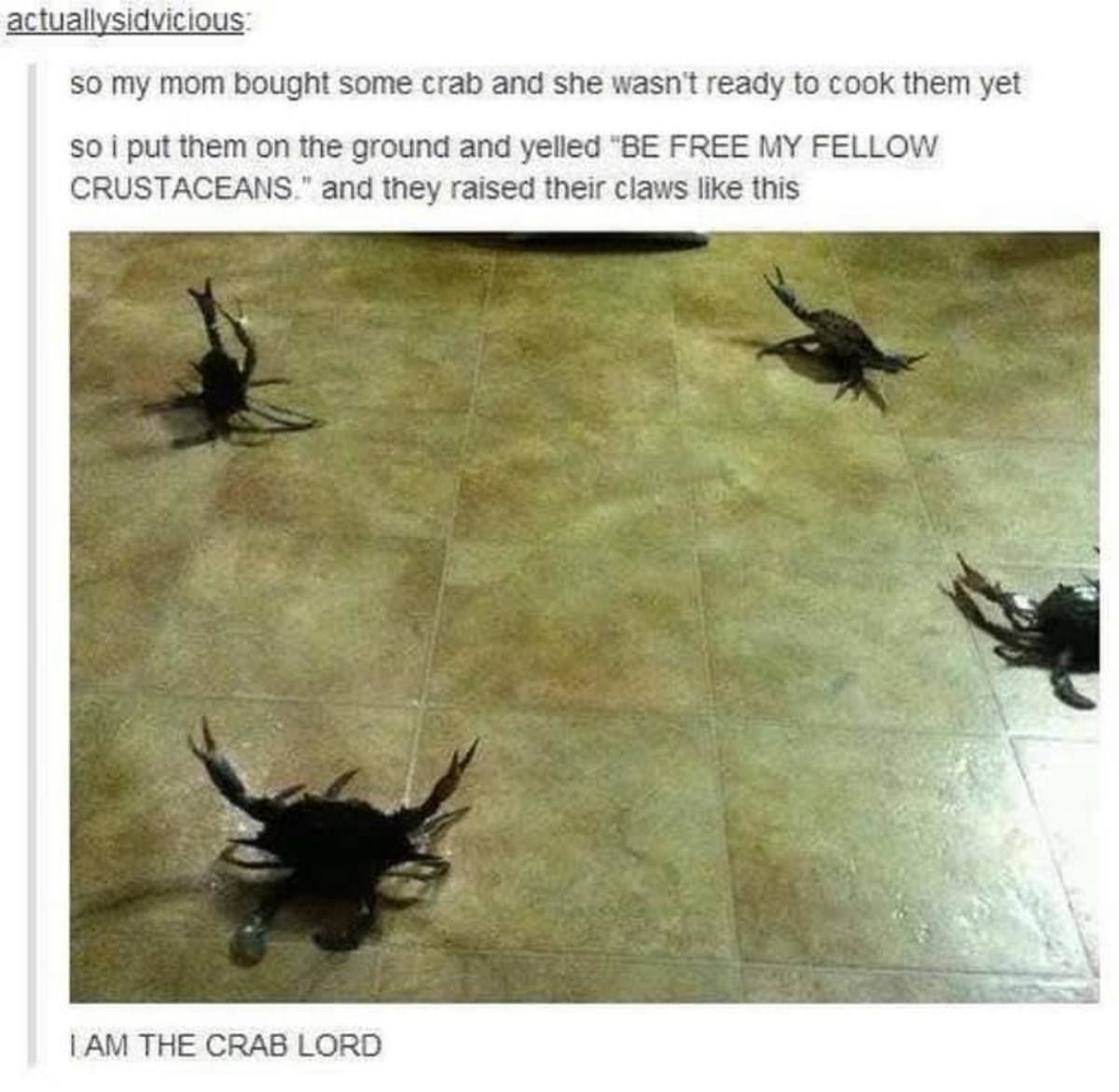 are you feeling it now mr krabs